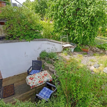 Molli Mit Terrasse Apartment Kuehlungsborn