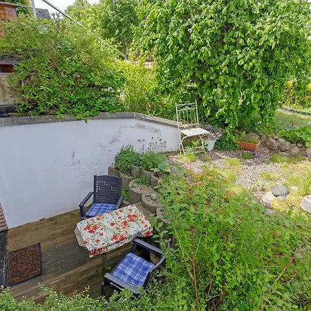 Molli Mit Terrasse